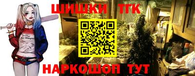 амф Шелехов