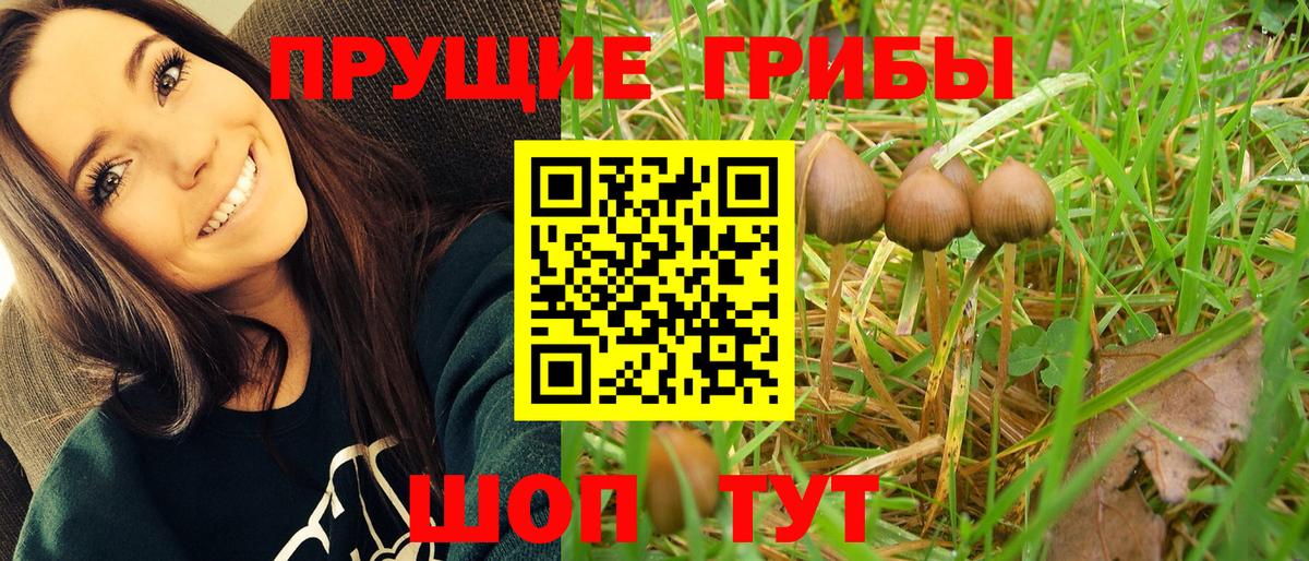 Нефтеюганск  наркота  Вход с VPN  Псилоцибиновые грибы GOLDEN TEACHER  Псилоцибиновые грибы GOLDEN TEACHER 